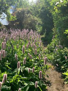 Crofton Dye House - 1