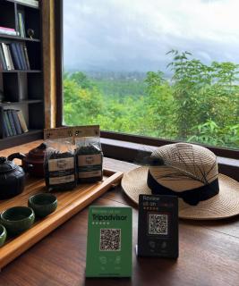 Taba tea house & tea garden - Ozurgetʼi - 1