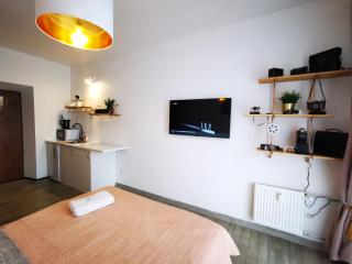S14 Foto studio with balcony - 1