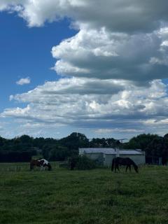 Golden Land Lifestyle house, very quiet with beautiful view - Whitford - 8