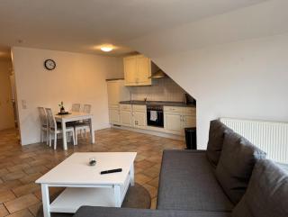 Ferienhaus Natura Ideal für Urlaub & Business, Küche, WLAN, Parkplatz - Rhauderfehn - 3