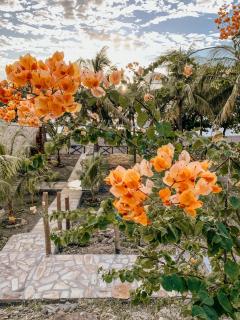 Nimbu Beachhouse - 1