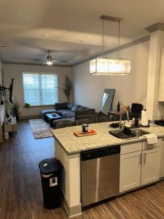 Luxury Buckhead apartment - Atlanta - 2