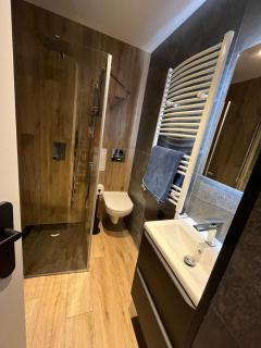 W Izerach - Apartament Superior - 8