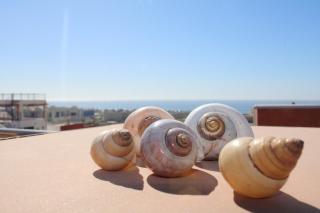 Apt Cosy 5min de la plage #2 - 7