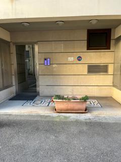 Il mio Iris - Arezzo - 0