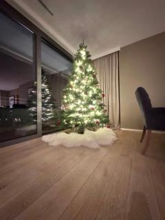 Alpine Luxury Apartment Davos with Spa Access to 5 Star Hotel - 2