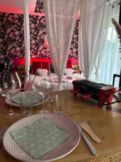 Romantisme et glamour 2 avec spa , clim et jardin - Dijon - 6
