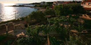 Apartments Milja - Mandre - 1
