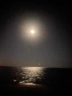 Scandic Resort Hurghada - 4