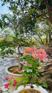 Mộc Lam Homestay - 3