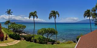 Largest One Bedroom At Kuleana - Oceanfront Unit!! 105 - Kahana - 0