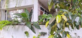 Malee home stay - Kandy - 3