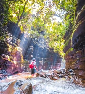 Bus Hulk 1960 - Hospedagem Temática - 3