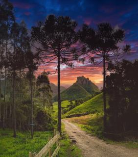 Bus Hulk 1960 - Hospedagem Temática - 5