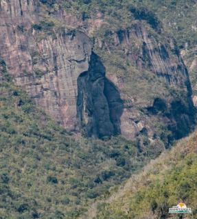 Bus Hulk 1960 - Hospedagem Temática - 6