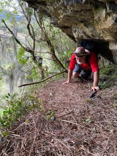 Bus Hulk 1960 - Hospedagem Temática - 7