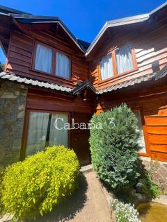 Cabañas Arique - San Martín de los Andes - 3