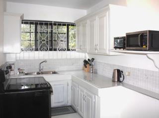 Serene Getaway-Newly renovated spacious 2 beds 2 baths - Montego Bay - 2