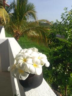 Paddy Shine Villa - Ahangama - 5