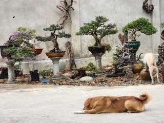 Mộc House - Ninh Hải - 4