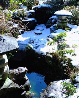 Guesthouse SHIGI - 4