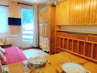 Studio au pied des pistes, idéal pour 4, bien équipé, balcon - FR-1-771-81 - 0