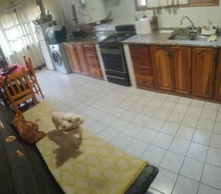 Casa Delia - Godoy Cruz - 2