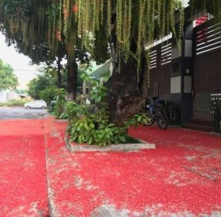 Villa Thành An- Đà Nẵng - 9