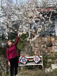 Green Villa Sapa - 3