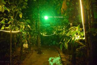Raindrop Farmstay - Madikeri - 9