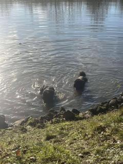 vakantiewoning Terminus - 2