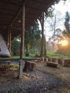 Khaosok Mysterious Restaurant and Camp ร้านลึกลับริมคลอง - Khao Sok - 6
