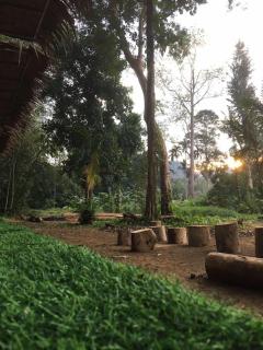 Khaosok Mysterious Restaurant and Camp ร้านลึกลับริมคลอง - Khao Sok - 7