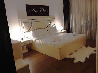 Festival living 2BR Luxury Apt - 7