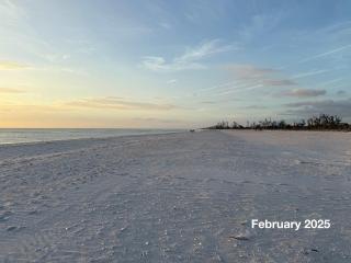 Family Tides on LGI - Golf Cart Included - Placida - 4