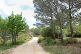 Villa dans la nature - Gémenos - 1