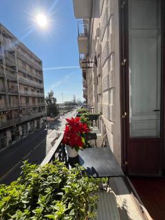 Persefone - Catânia - 7