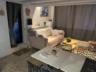 Guest House proche Disneyland Paris Piscine ouverte en saison estivale - Dampmart - 7