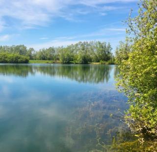 L'Etang des Petits Plaisirs - Refuge en nature - Villeneuve-la-Guyard - 3