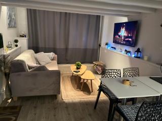 Guest House proche Disneyland Paris Piscine ouverte en saison estivale - Dampmart - 9