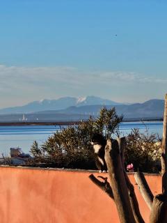 Appartement neuf 6 couchages 50 metres de la plage - Gruissan - 1