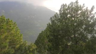The Kasauli Home I Near Mall Road I Food Service & Memorable Stay I Managed By Exotic Stays - Kasauli - 8