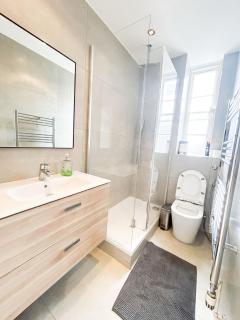 Hammersmith 2 Bedroom Flat River Thames - Londres - 1