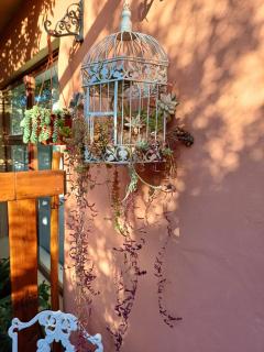 A Jungle House - - 4