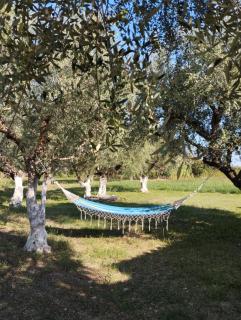 Jenny's House - Ayios Kirikos - 5
