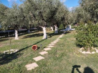 Jenny's House - Ayios Kirikos - 6