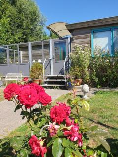 Holiday chalet GS24 Lauwersmeer - 0