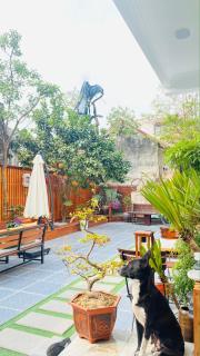 Ohayo Tam Coc Homestay - Ninh Binh - 9