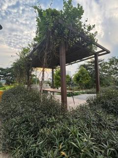 Sohome8879 - Ho Chi Minh - 1